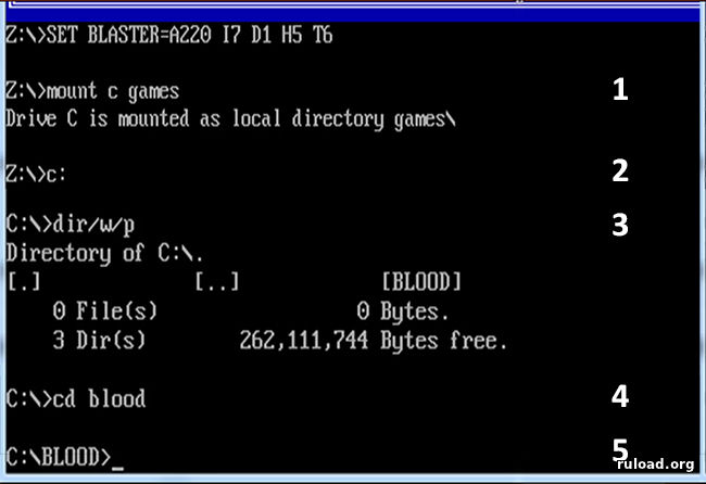 Командная строка DOSBox на Windows