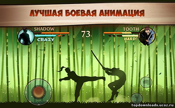 Shadow Fight 2 (android)